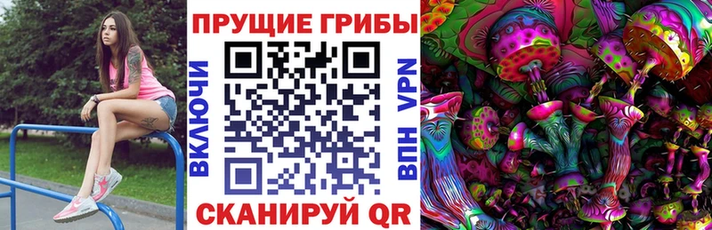 кракен маркетплейс  Бронницы  Галлюциногенные грибы Psilocybine cubensis  купить закладку 